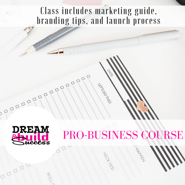 Pro Business Course - DreamBuildSuccess